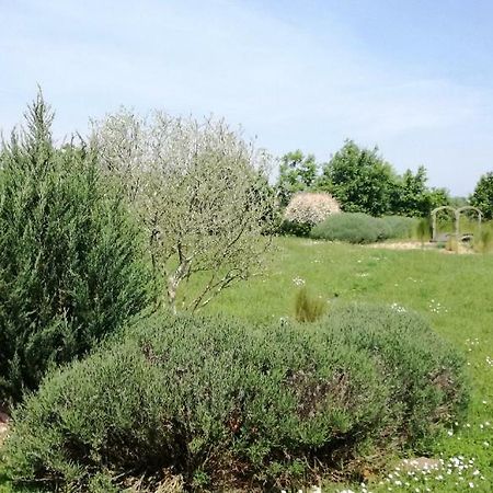 Le Grand Paradis Morannes sur Sarthe-Daumeray Luaran gambar