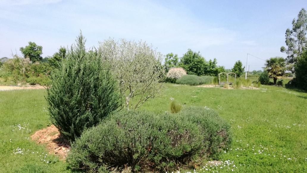 Le Grand Paradis Morannes sur Sarthe-Daumeray Luaran gambar
